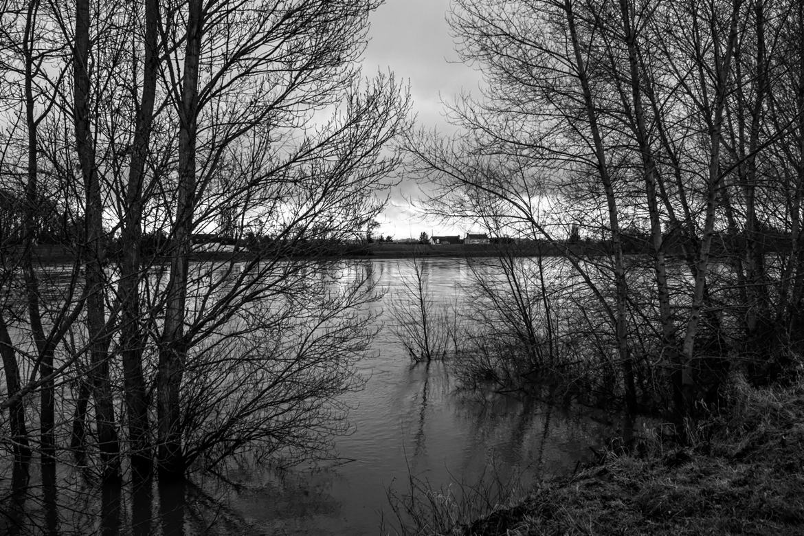 La Loire en crue à Fondetttes (37)