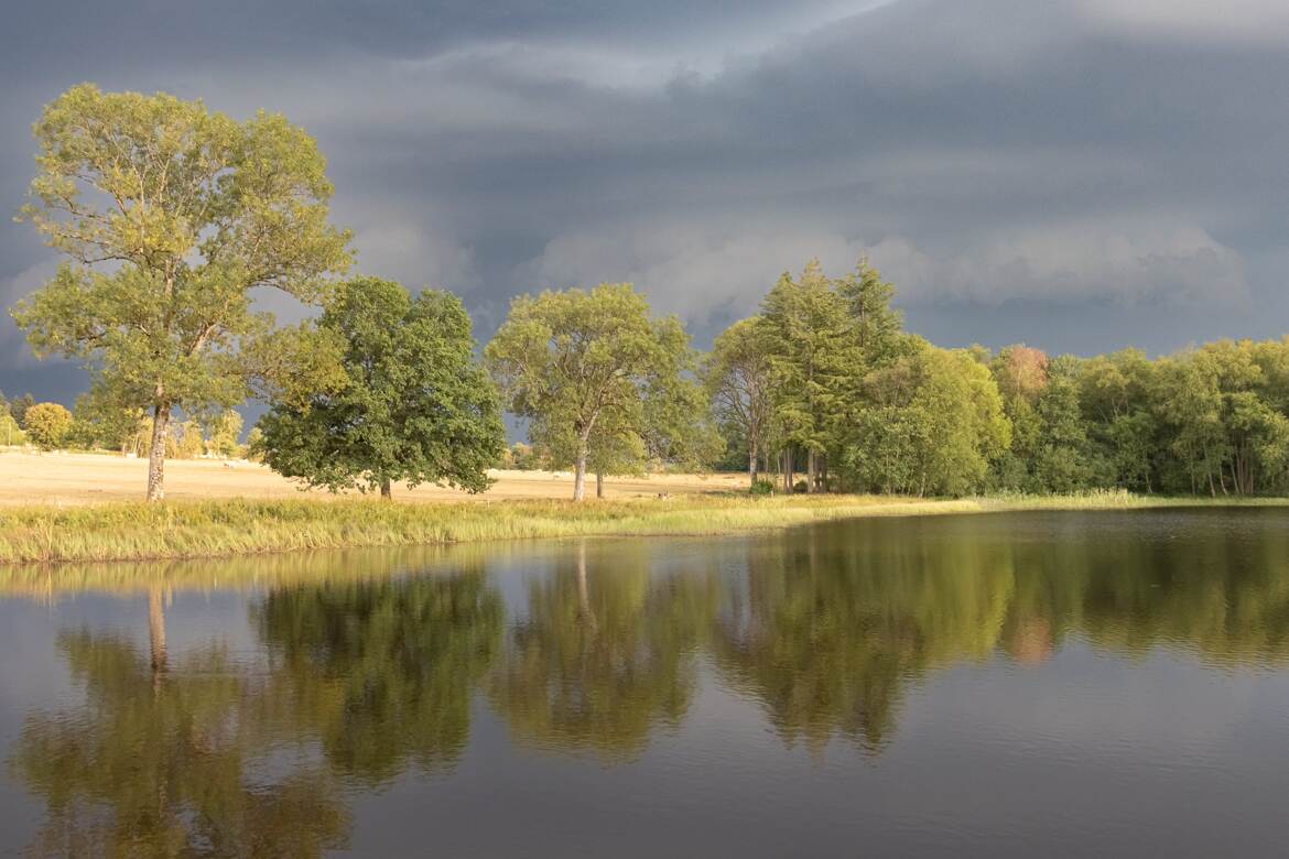 Avant que n'éclate l'orage