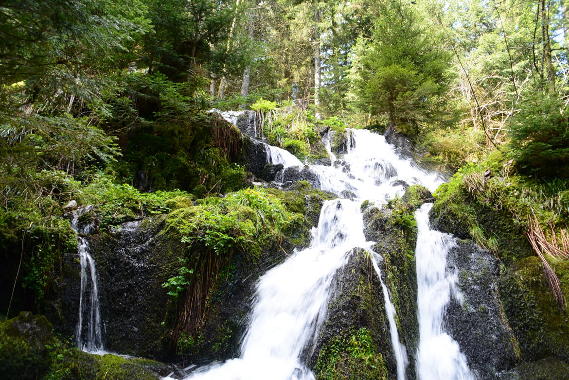 l'eau dans toute sa beauter