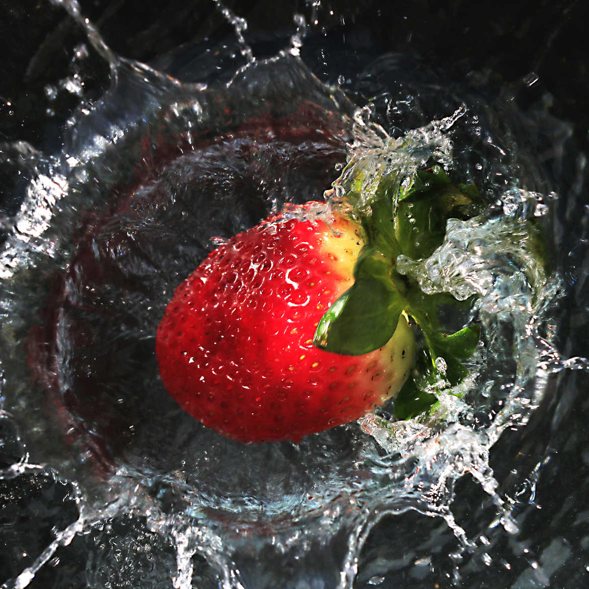 fraise splash