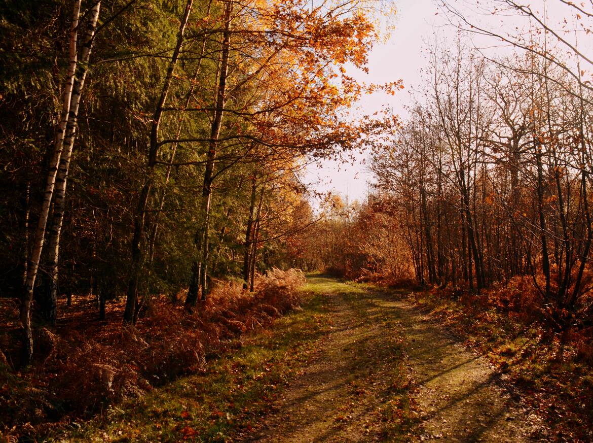 Carte postale d'Ardèche 1
