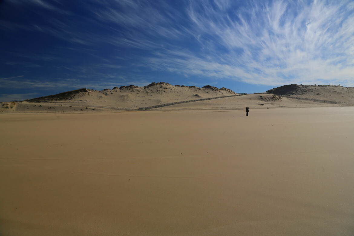 Les dunes, avec leur courbe douce et pure.