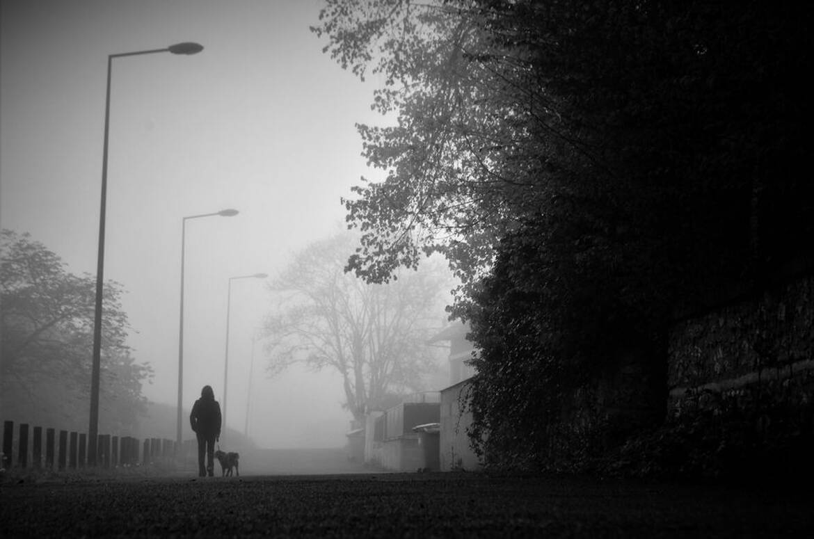 brouillard matinal..