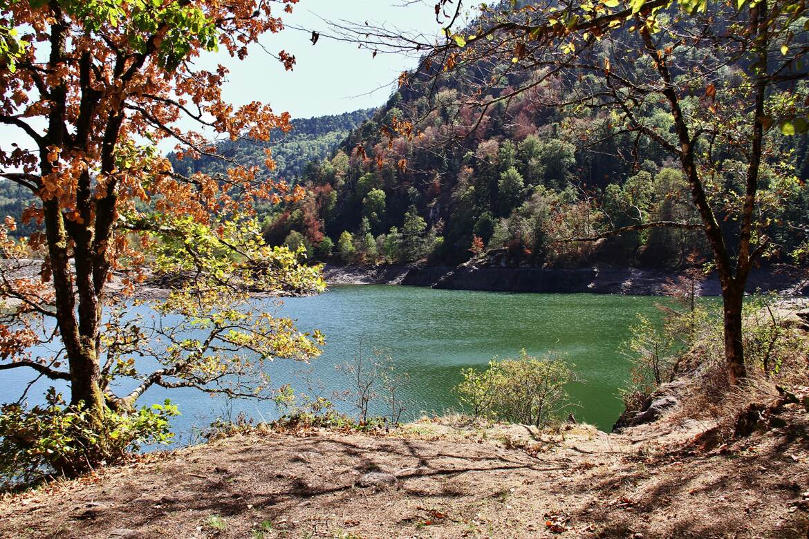 Au bord du lac
