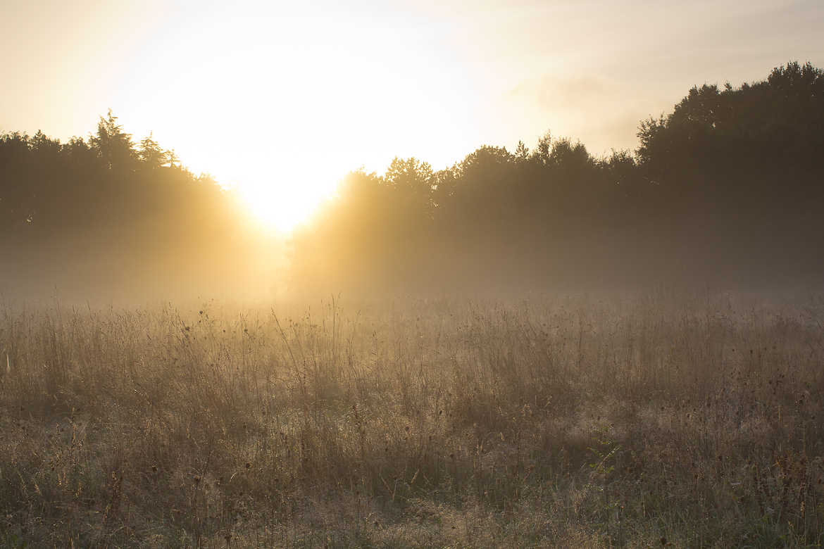 Lumière du matin