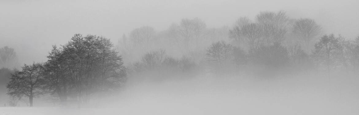 Le brouillard beau et mystèrieux