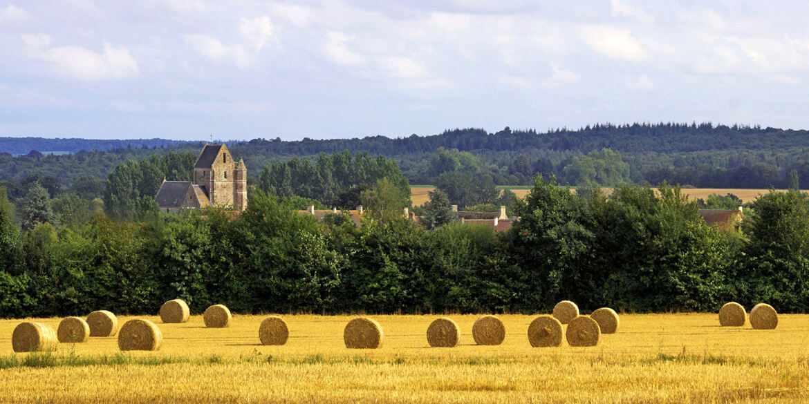 Fenaison Normande