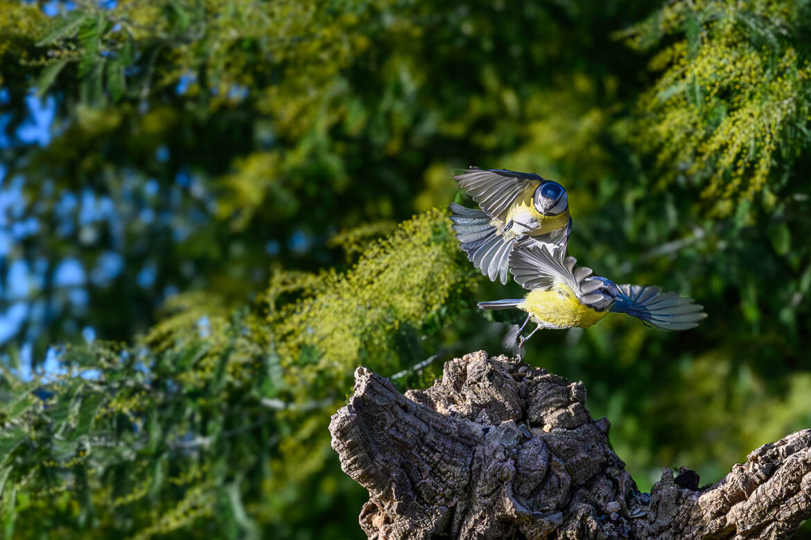 Viens, on se casse...