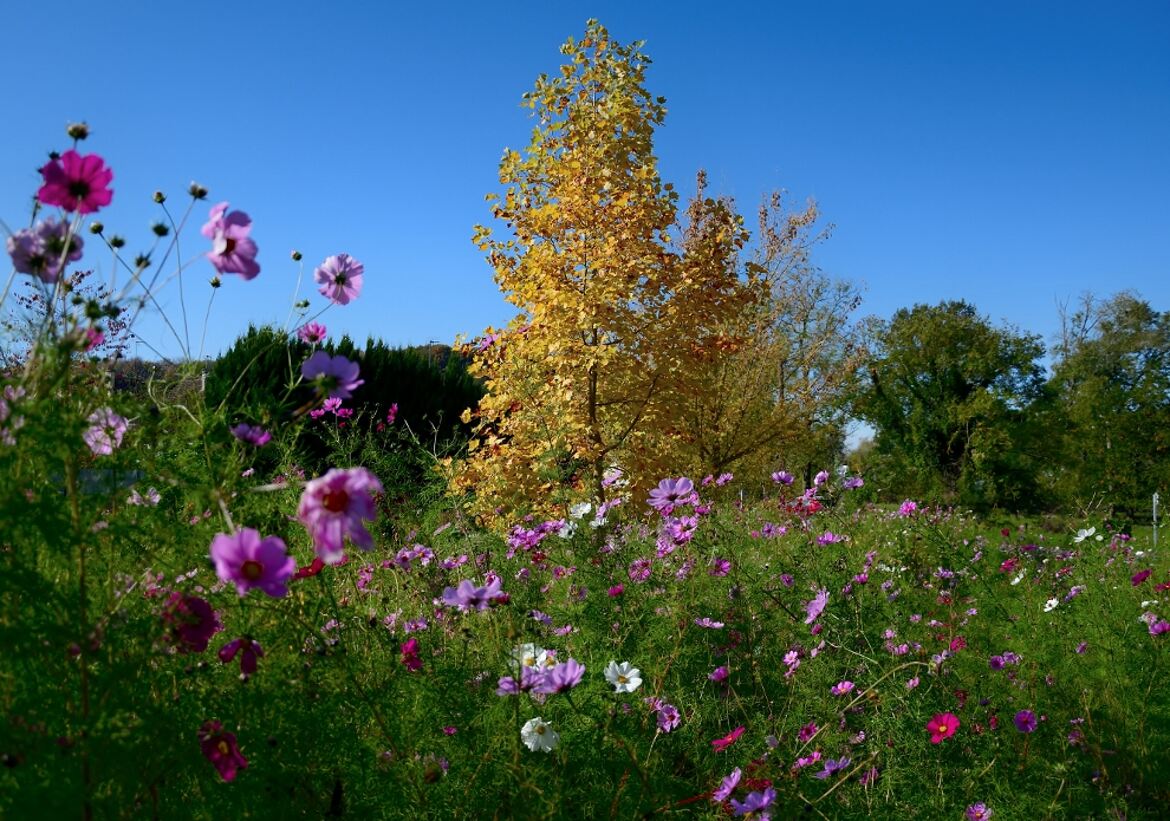 Biodiversité