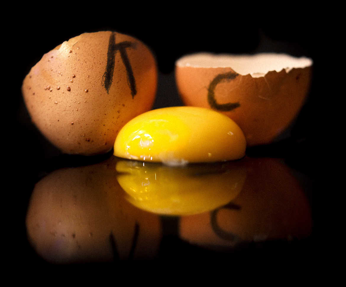 Oeuf cassé