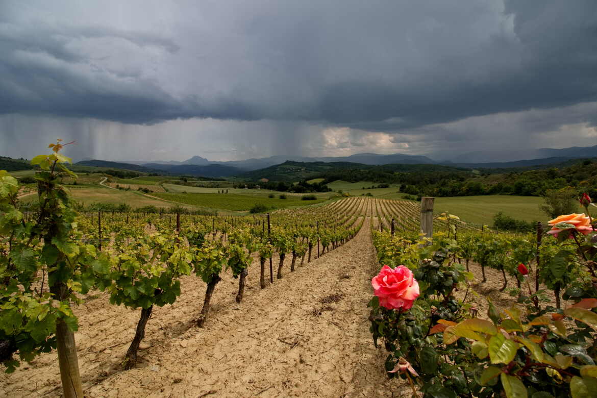 Orage en devenir