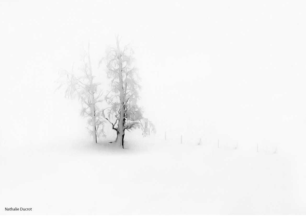 Seul dans un monde glacial