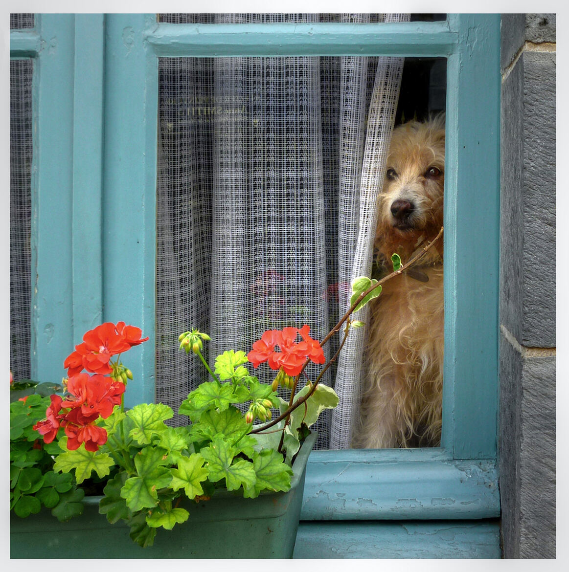 Seul à la maison