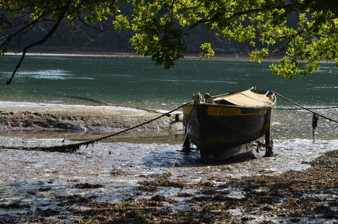 Abandonné