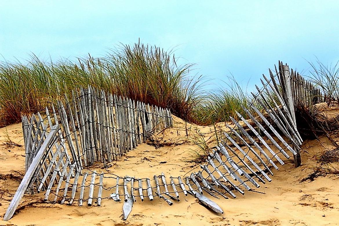 sur la dune du bassin