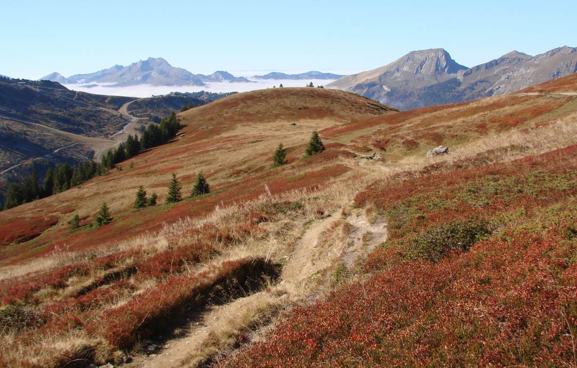 La montagne colorée