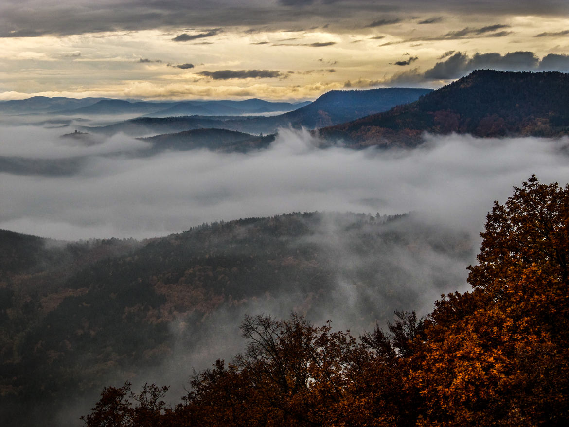 Brumes sur l'Alsace