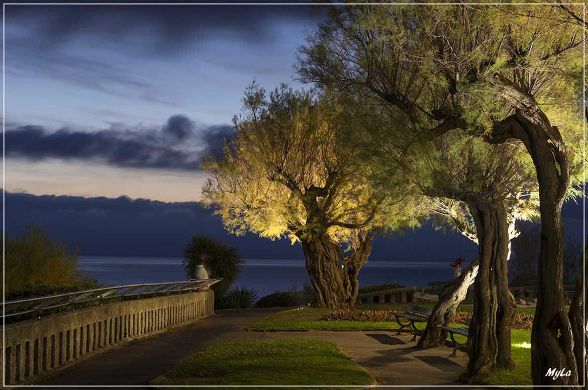 Biarritz by night