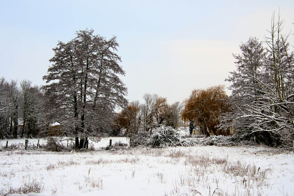 Paysage rural (8)