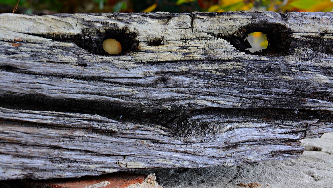 Vous êtes observés!