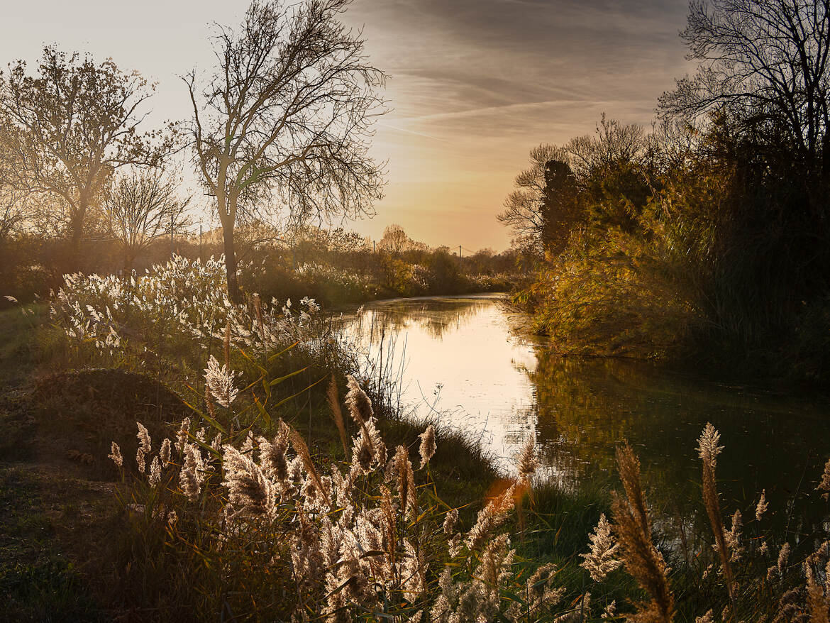 Un temps sur le canal du midi