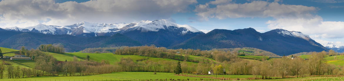 petit pano bearnais bis