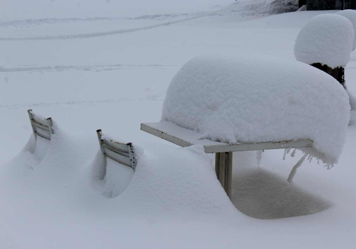 personne en terrasse