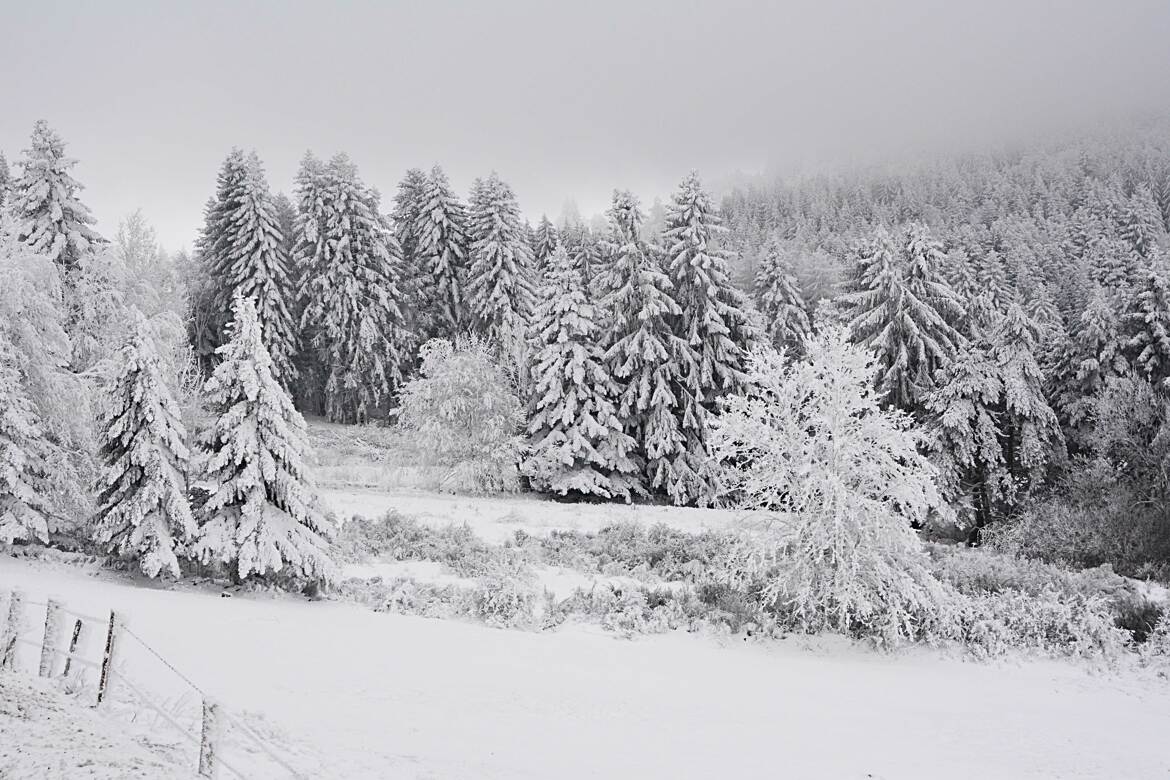 Meilleurs voeux à tous les locos