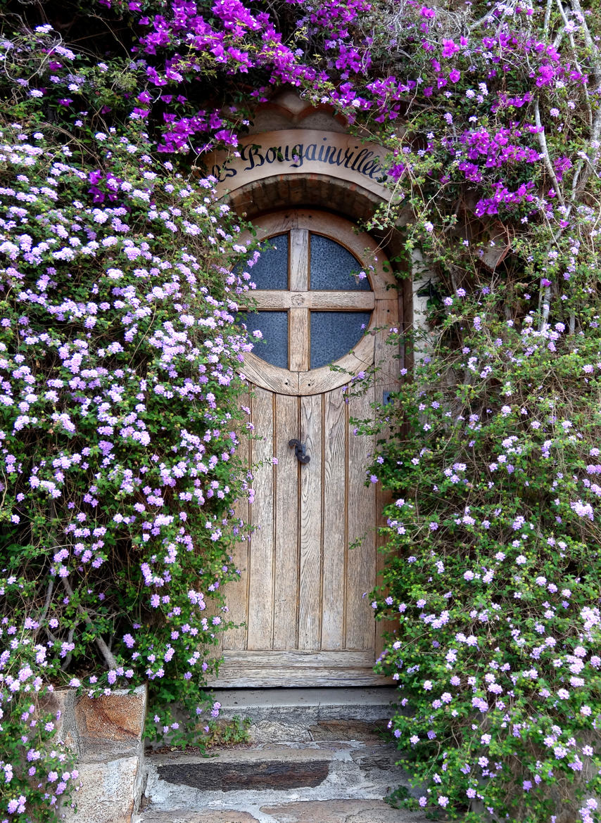 Les Bougainvillées