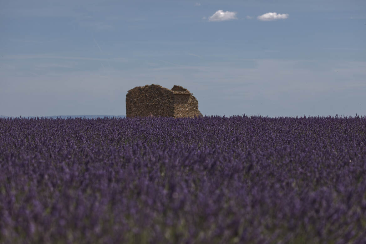 Cabanon de provence