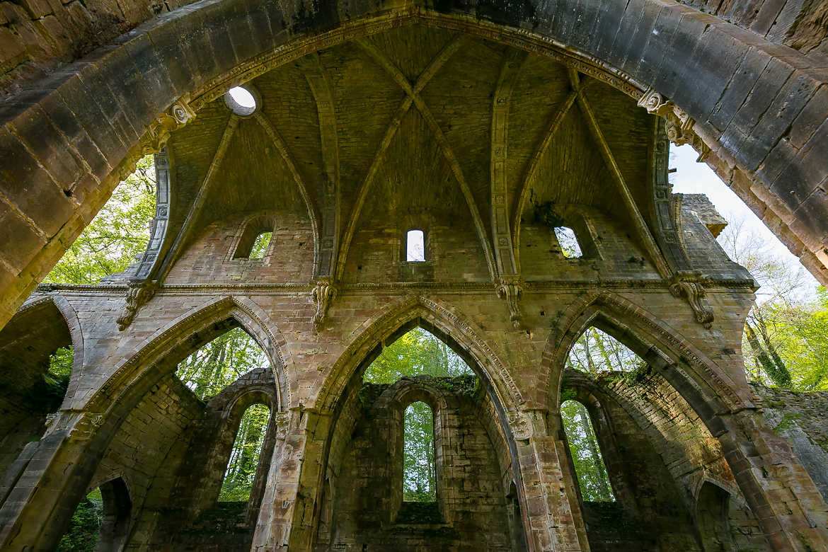 Ruines d'abbaye