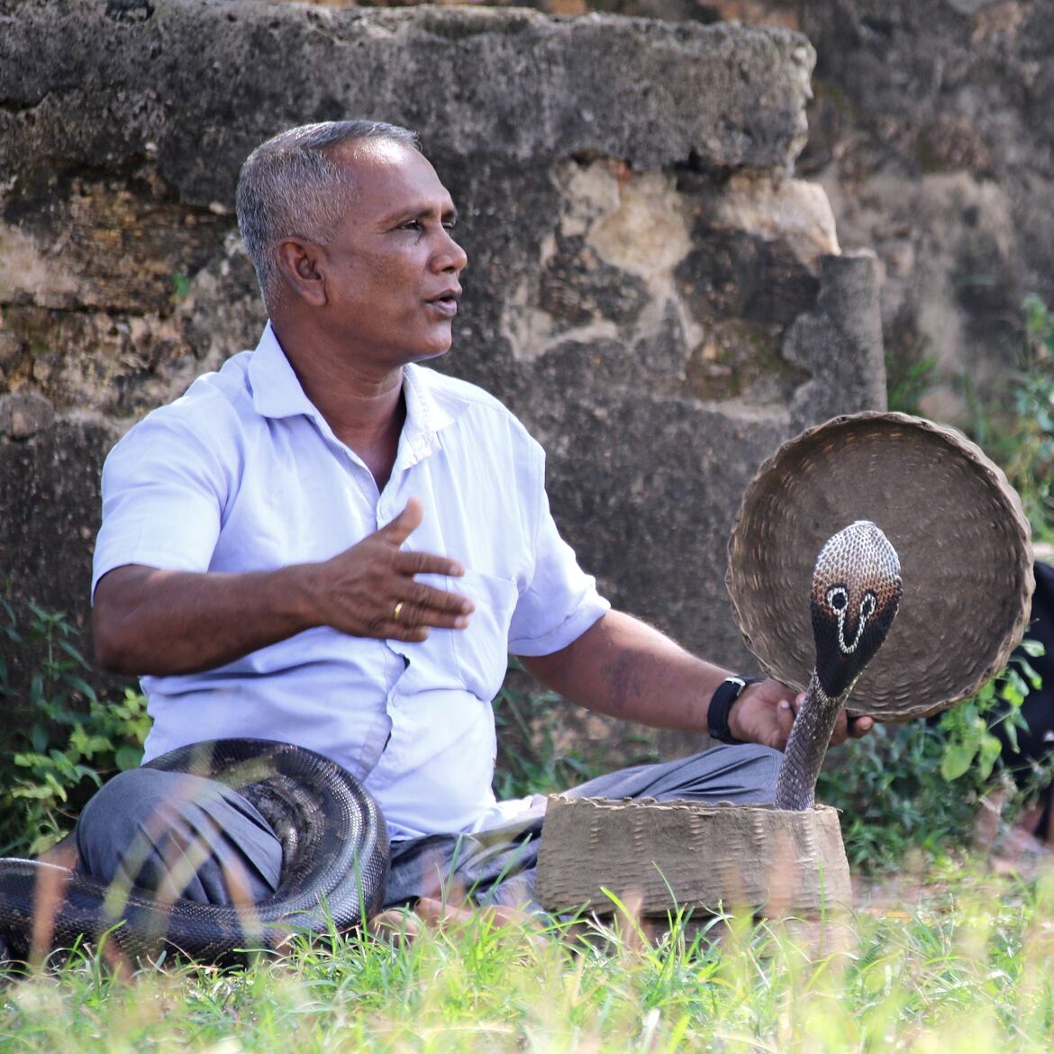 L'homme et le serpent