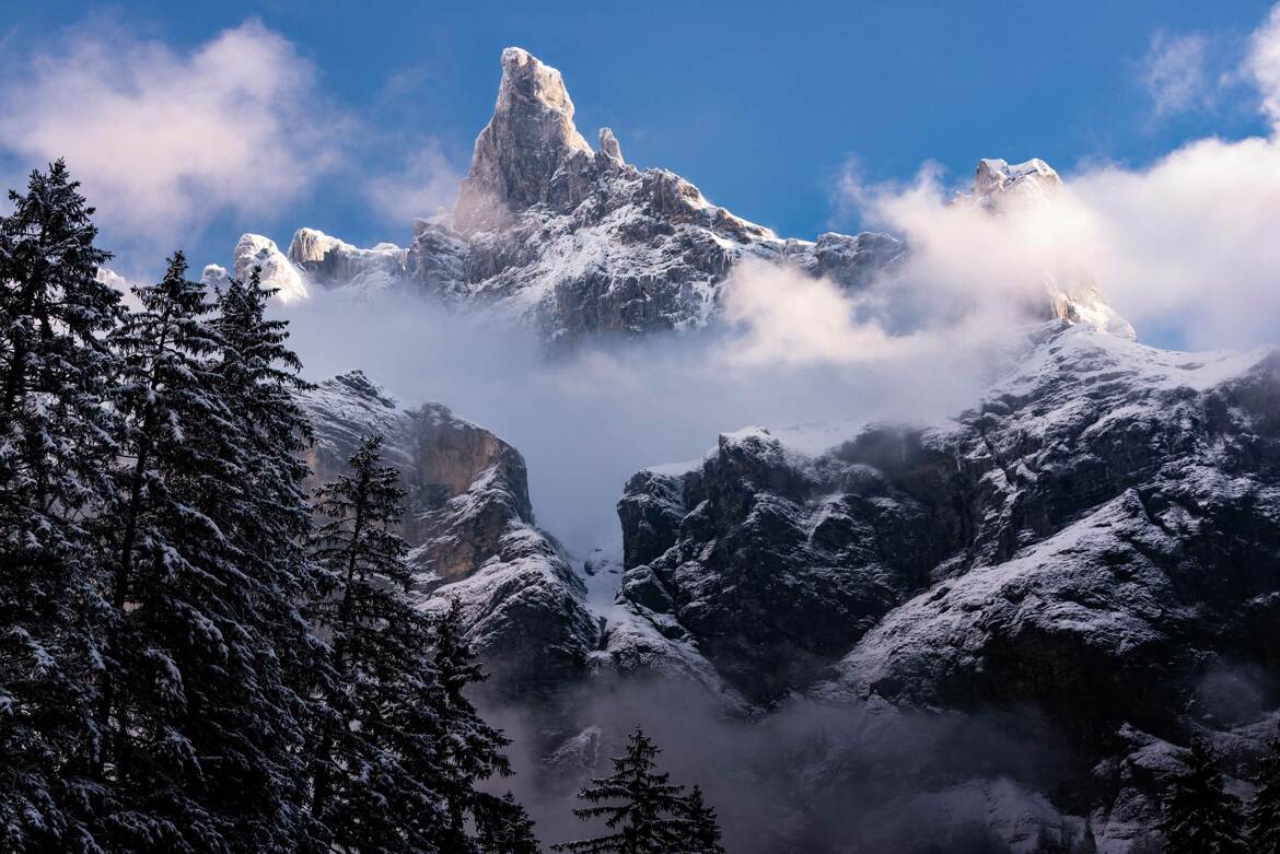 les cornes du chamois 2