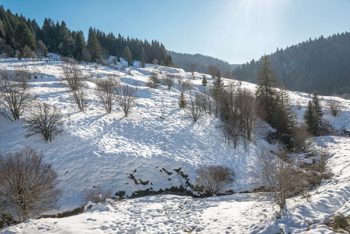 Neige ensoleillée