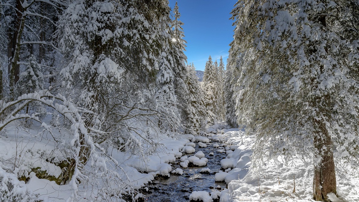 Rivière de montagne