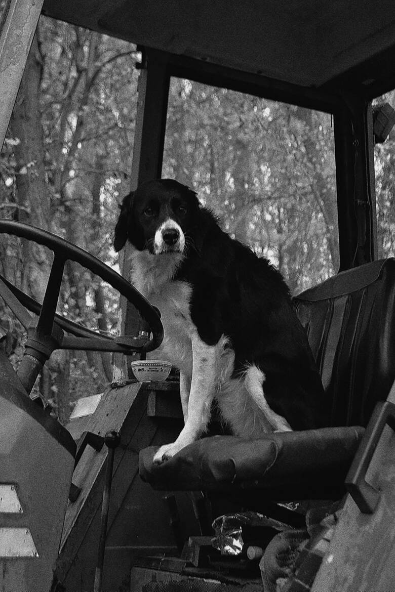 Tu viens ou je démarre