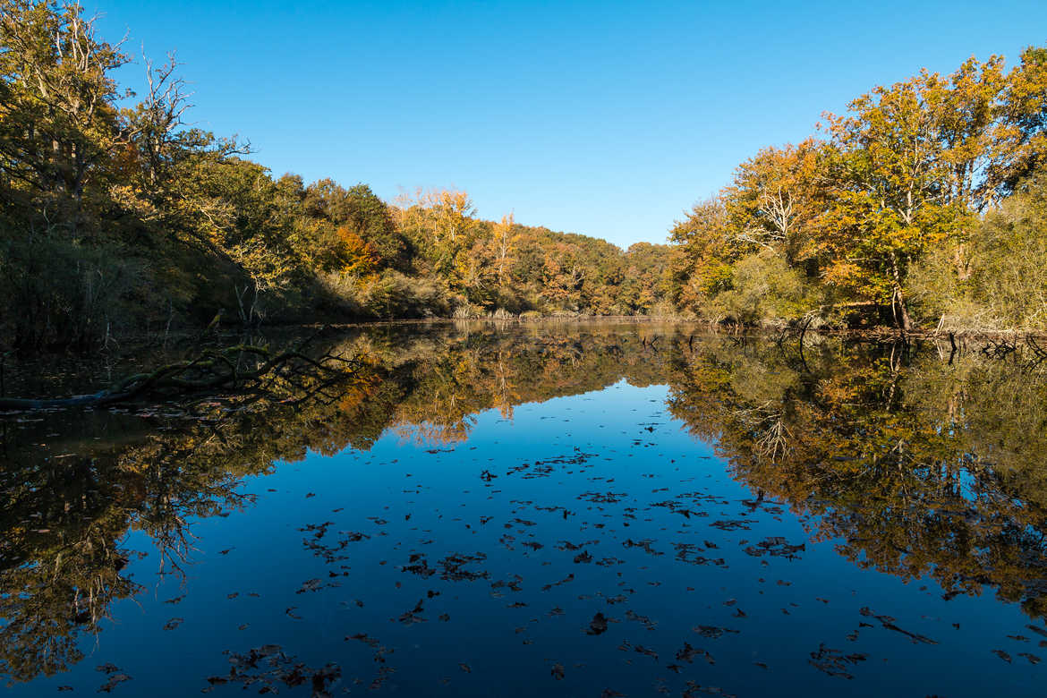 Début d'automne