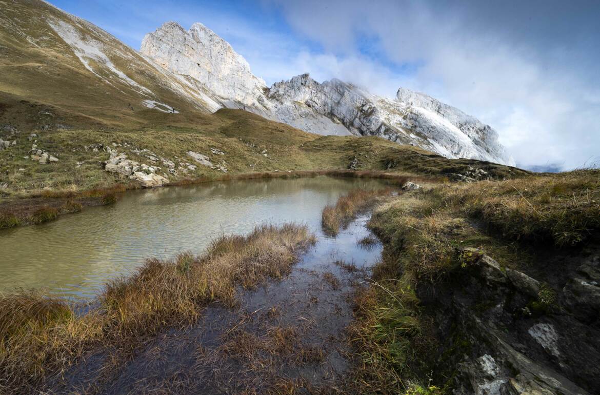 lac de Peyre