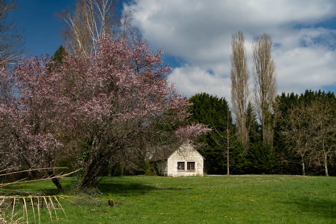 Le printemps revient c'est sur ;-)