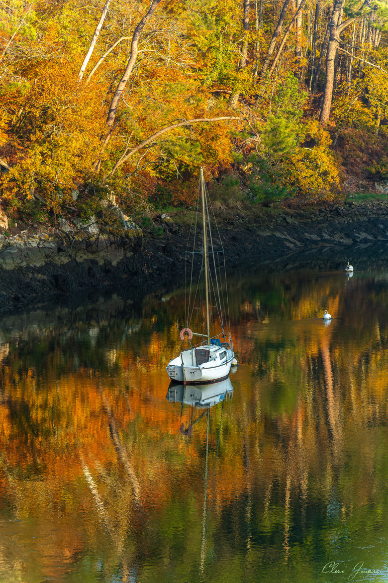 Quartier d'automne