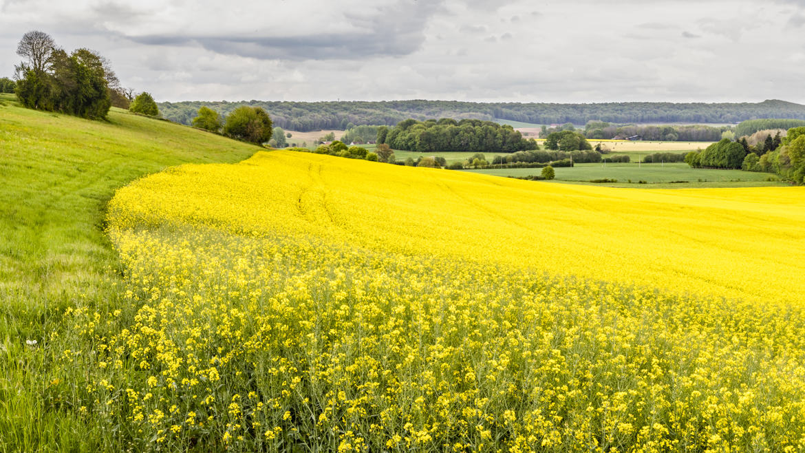 Couleurs du printemps