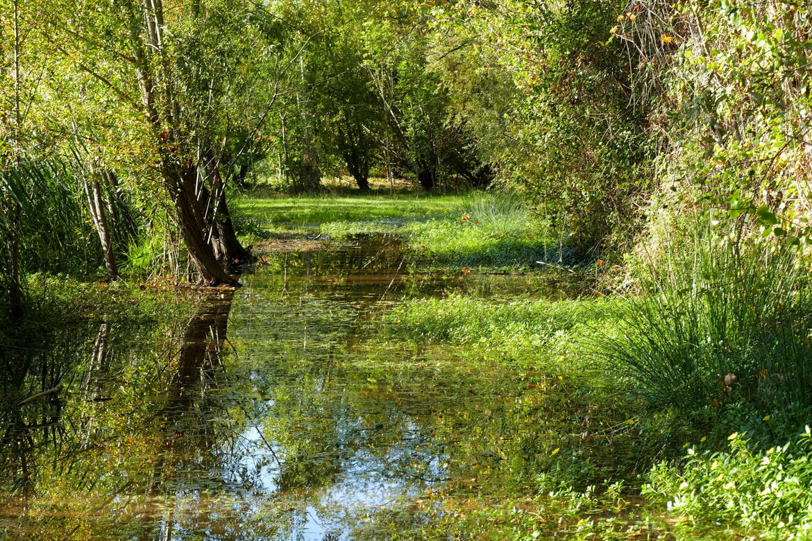 Qui a dit qu'il y a pénurie d'eau ?