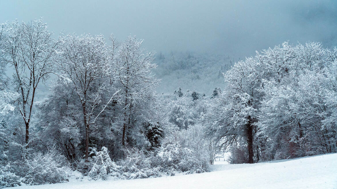 Dernier assaut de l'hiver