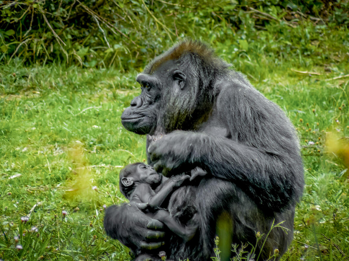 Avec sa maman