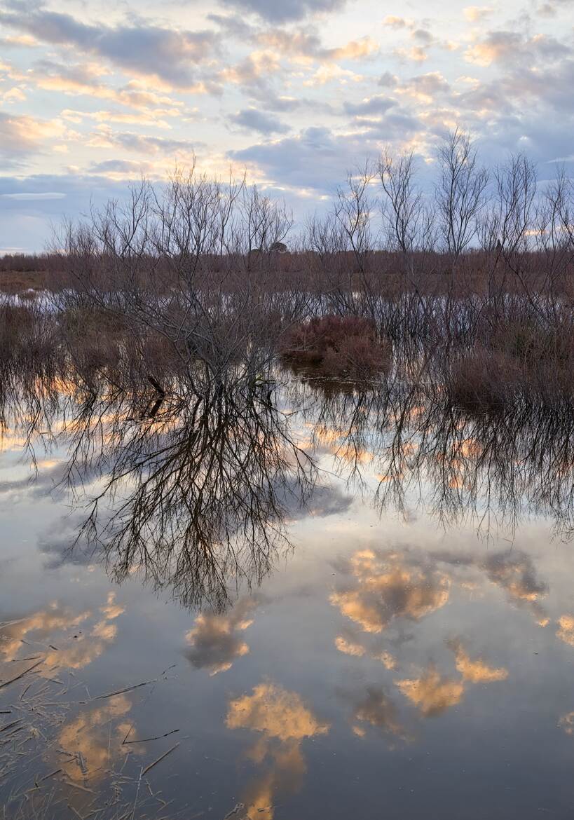 Un brin de réflexion
