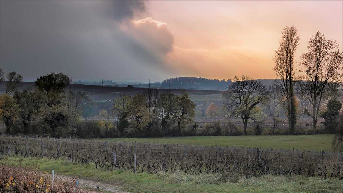 Campagne Beaujolaise