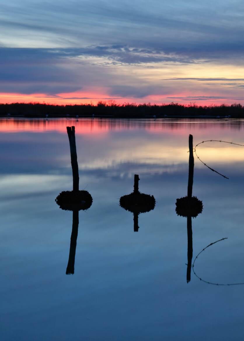 Trois points de suspension