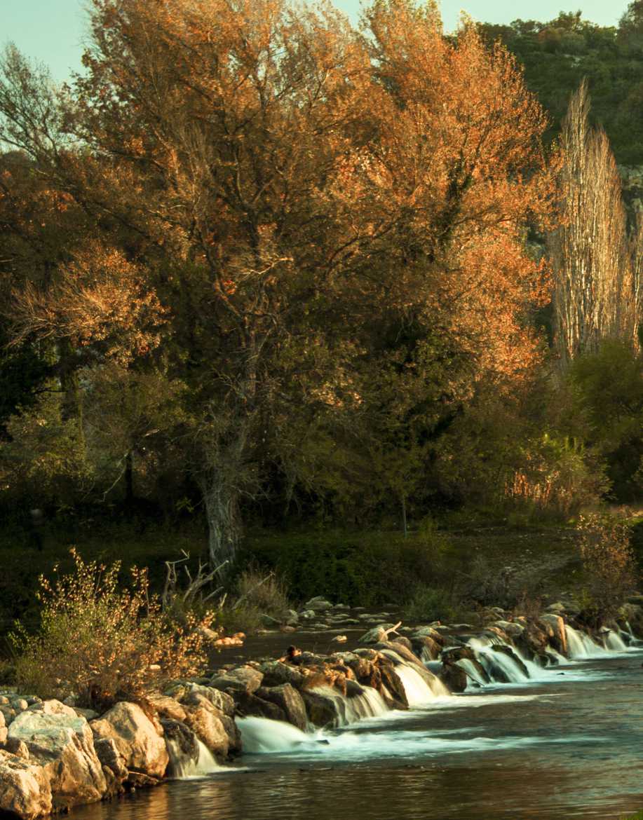 Et au milieu coule une rivière