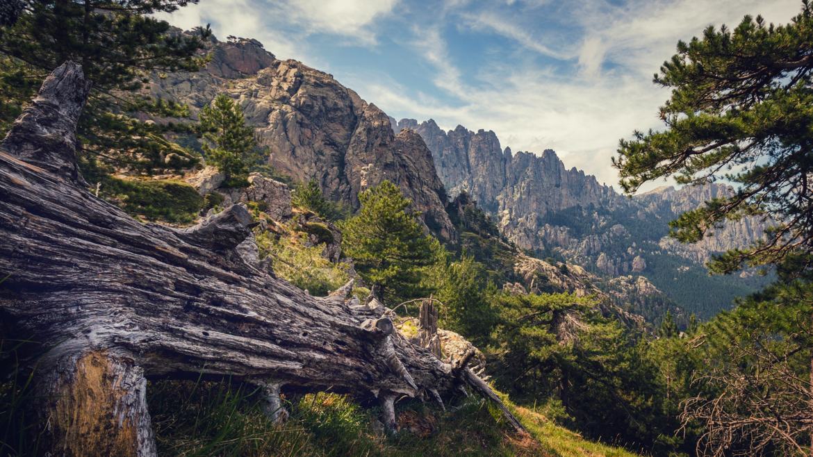 Droit vers les aiguilles de Bavella