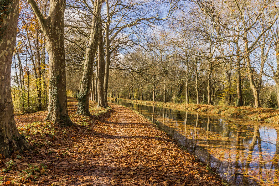 couleurs d'Automne